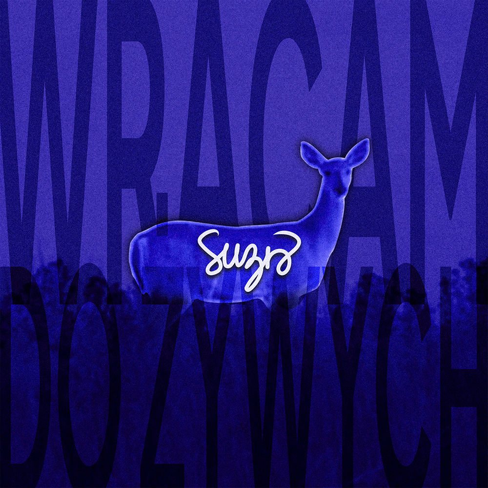 "Wracam do żywych" singiel thumbnail cover
